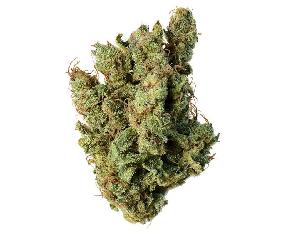 Original Haze Cannabis Strain premium sativa cannabis flower by HighShop420