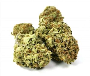 Ortega Cannabis Strain premium indica cannabis flower by HighShop420