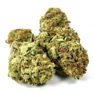 Ortega Cannabis Strain premium indica cannabis flower by HighShop420