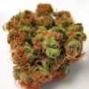 Panama Red Cannabis Strain premium landrace sativa flower by HighShop420