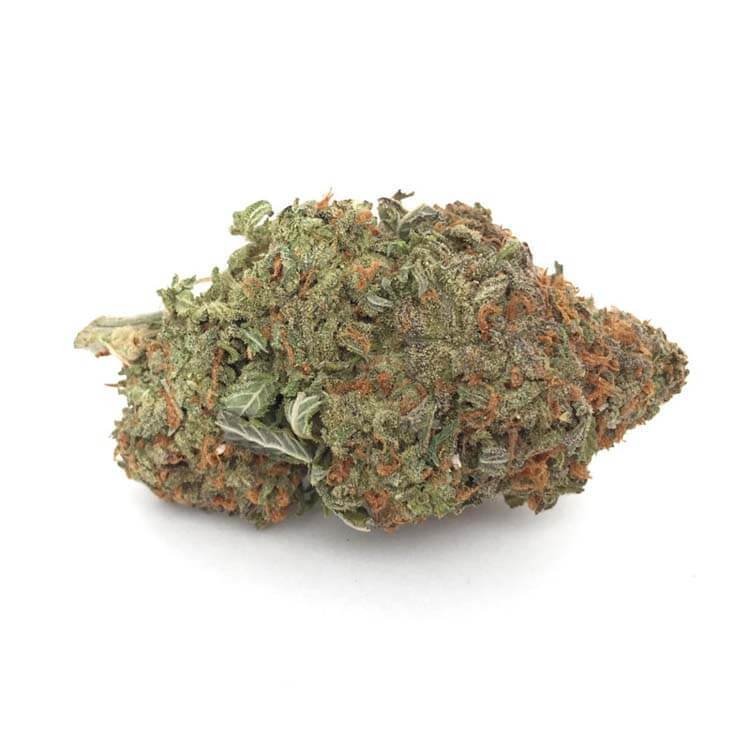 Pine Tar Kush Cannabis Strain premium indica cannabis flower by HighShop420