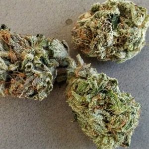 Purple Bubba Kush Cannabis Strain premium indica cannabis flower by HighShop420