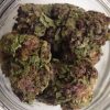 Purple Rhino Cannabis Strain premium indica cannabis flower by HighShop420