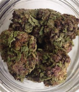 Purple Rhino Cannabis Strain premium indica cannabis flower by HighShop420
