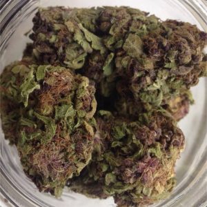 Purple Rhino Cannabis Strain premium indica cannabis flower by HighShop420