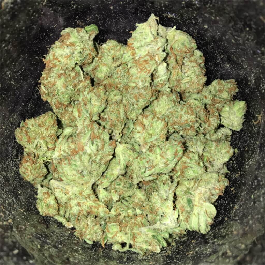 Razzleberry Kush Cannabis Strain premium hybrid cannabis flower by HighShop420