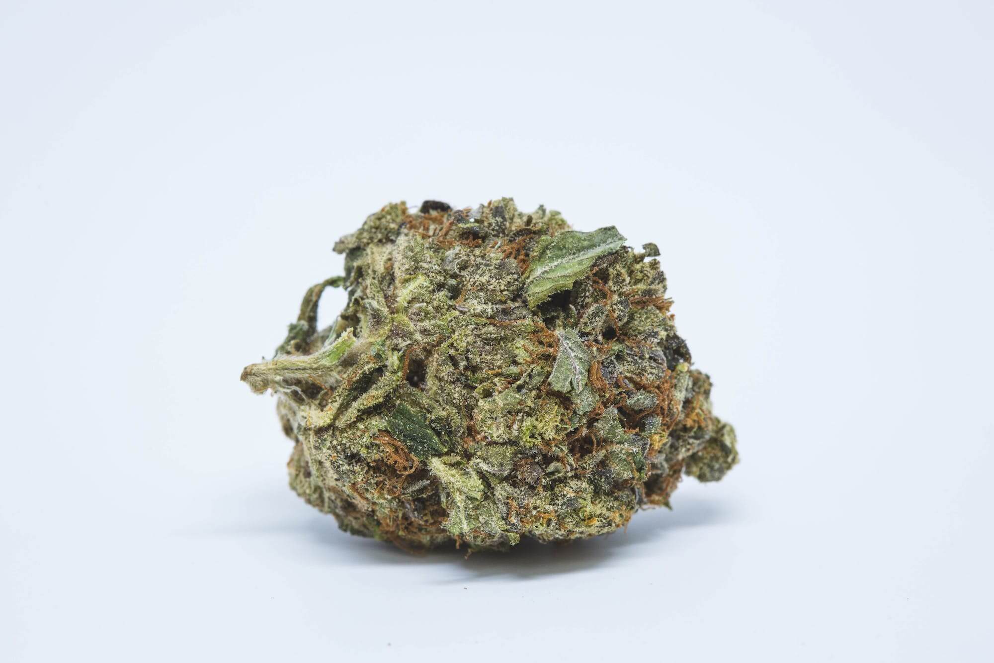 Scarface OG Cannabis Strain premium hybrid cannabis flower by HighShop420