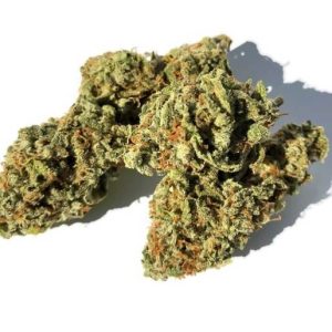 Skunk #1 Cannabis Strain premium hybrid cannabis flower by HighShop420