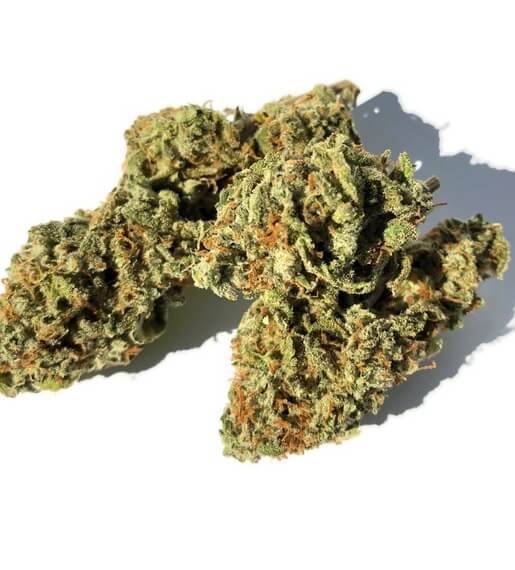 Skunk #1 Cannabis Strain premium hybrid cannabis flower by HighShop420