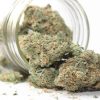 Super Green Crack Cannabis Strain premium sativa cannabis flower by HighShop420