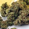 Super Jack Cannabis Strain premium sativa-dominant cannabis flower by HighShop420