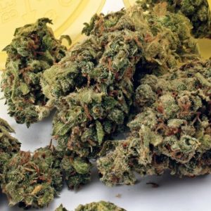 Super Jack Cannabis Strain premium sativa-dominant cannabis flower by HighShop420