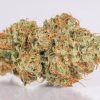 Tangie Cannabis Strain premium sativa cannabis flower by HighShop420