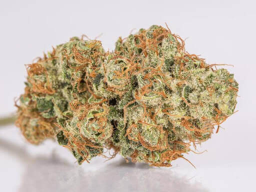 Tangie Cannabis Strain premium sativa cannabis flower by HighShop420