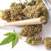 Tom Ford Weed Pre-rolled Joint