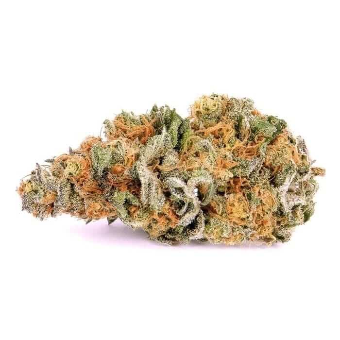 Trainwreck Cannabis Strain premium hybrid cannabis flower by HighShop420