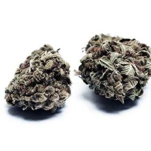 Vietnamese Black Cannabis Strain premium Vietnamese landrace cannabis flower by HighShop420