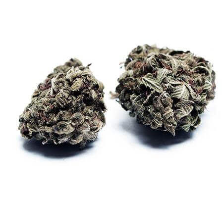 Vietnamese Black Cannabis Strain premium Vietnamese landrace cannabis flower by HighShop420