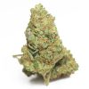 West Coast Diesel Cannabis Strain premium diesel cannabis flower by HighShop420