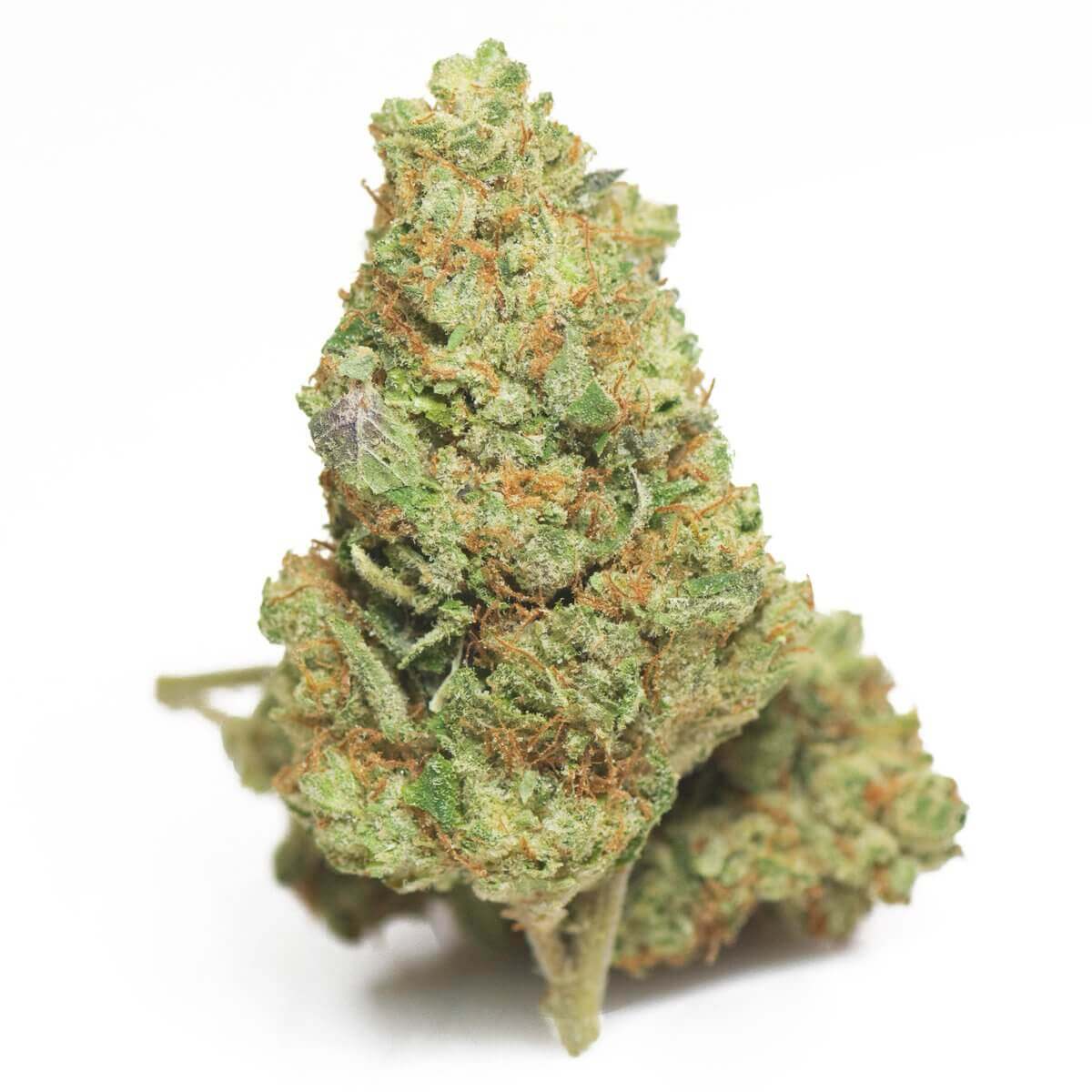 West Coast Diesel Cannabis Strain premium diesel cannabis flower by HighShop420