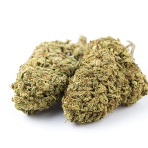 Wild Thailand Cannabis Strain premium Thai landrace cannabis flower by HighShop420