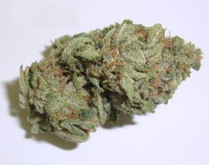Williams Wonder Cannabis Strain premium indica cannabis flower by HighShop420