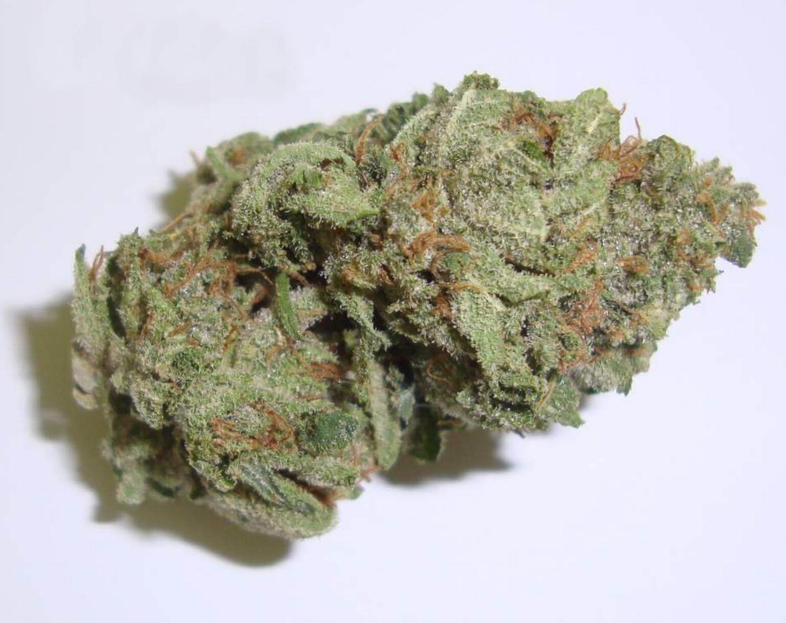 Williams Wonder Cannabis Strain premium indica cannabis flower by HighShop420