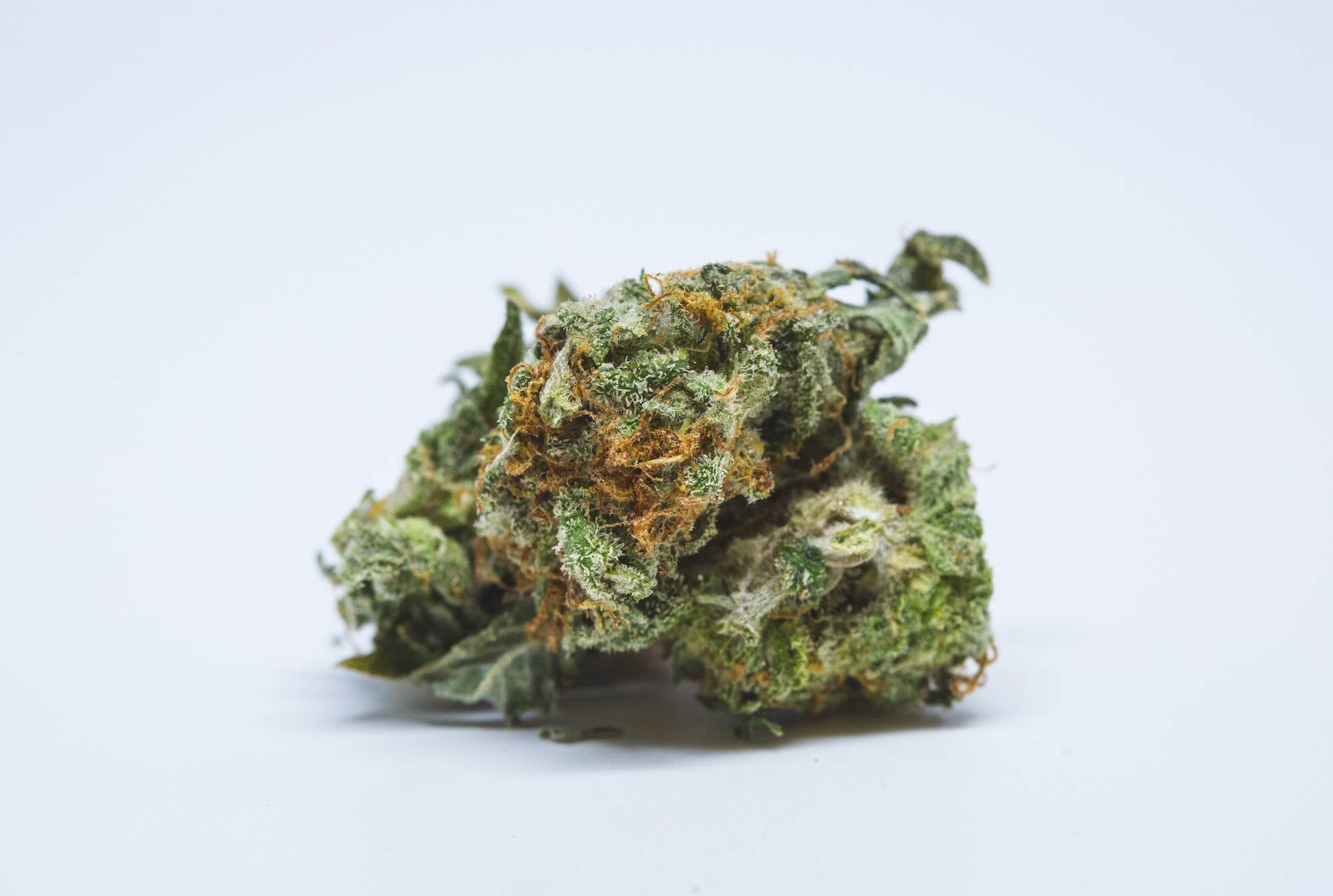 Zamal Cannabis Strain premium landrace sativa flower by HighShop420