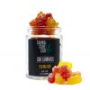 Cannacure CBD Multivitamin Gummy Bears (750mg CBD)